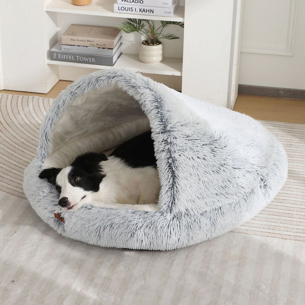 Warm Shell Cat Bed Pet Cat Bed